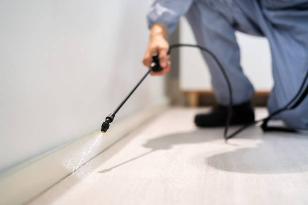 Professional exterminator conducting IPM assessment in St. James